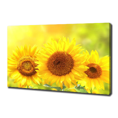 Quadro stampa su tela Girasoli