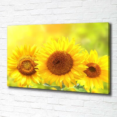 Quadro stampa su tela Girasoli