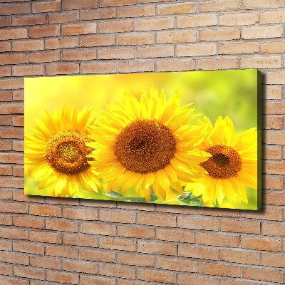 Quadro stampa su tela Girasoli