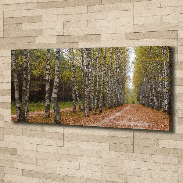 Quadro su tela Viale delle betulle