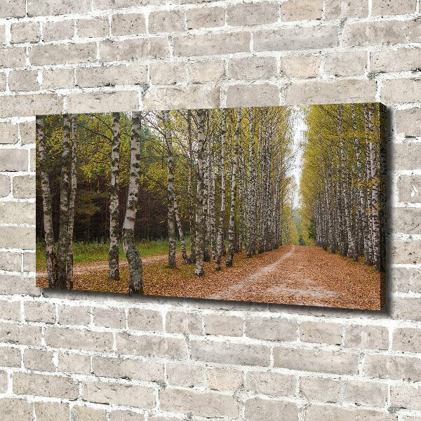 Quadro su tela Viale delle betulle