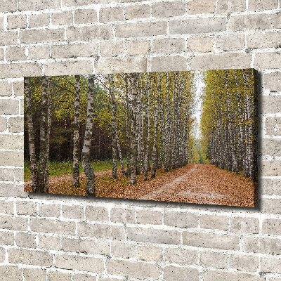 Quadro su tela Viale delle betulle