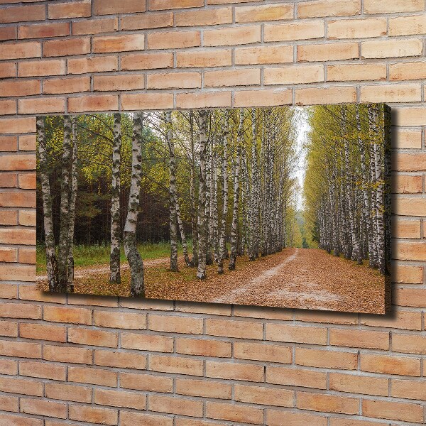Quadro su tela Viale delle betulle