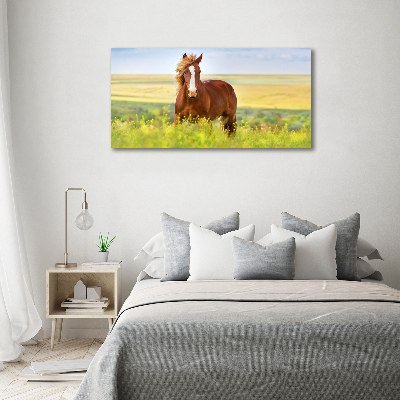 Quadro su tela Cavallo bruno