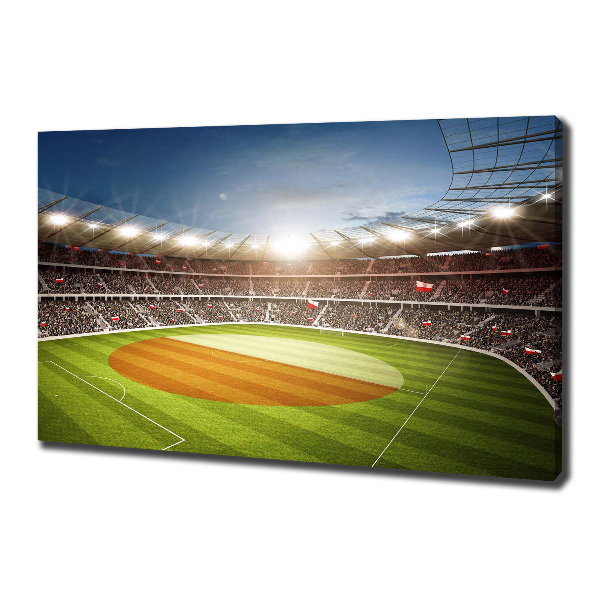 Quadro su tela Stadio della Polonia