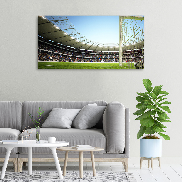 Quadro stampa su tela Stadio Francia