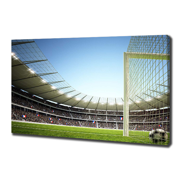 Quadro stampa su tela Stadio Francia
