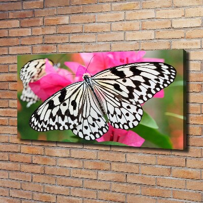 Quadro stampa su tela Farfalla su un fiore