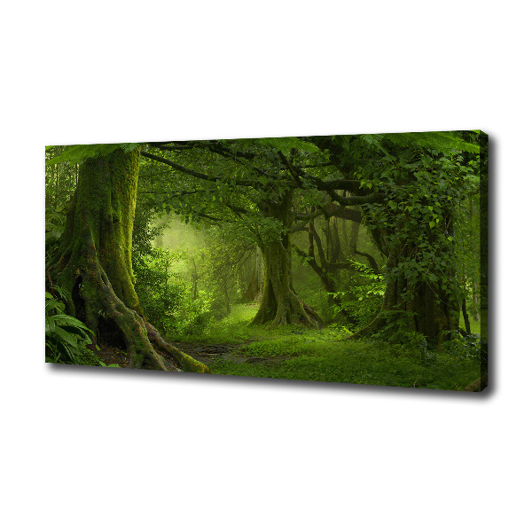 Foto quadro su tela Giungla tropicale