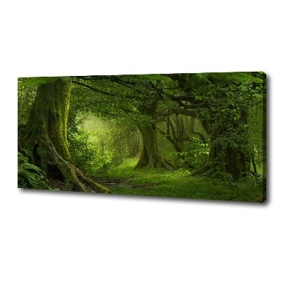 Foto quadro su tela Giungla tropicale