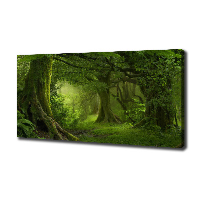 Foto quadro su tela Giungla tropicale