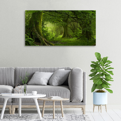 Foto quadro su tela Giungla tropicale