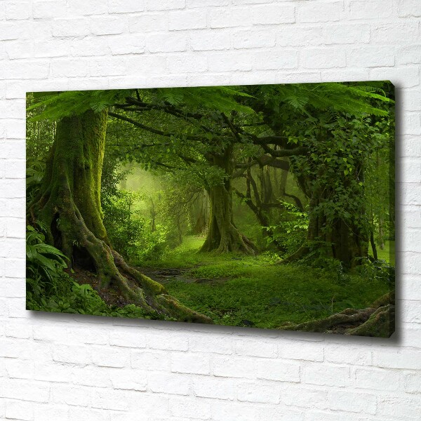 Foto quadro su tela Giungla tropicale