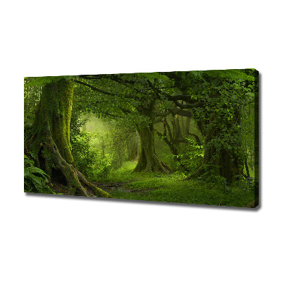 Foto quadro su tela Giungla tropicale