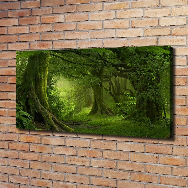 Foto quadro su tela Giungla tropicale