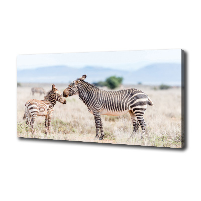 Quadro su tela Zebre in montagna