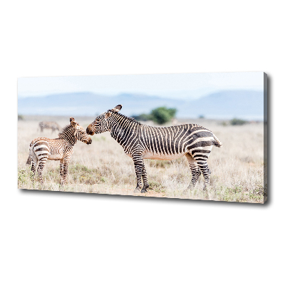 Quadro su tela Zebre in montagna