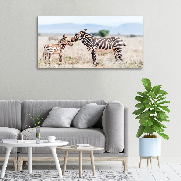 Quadro su tela Zebre in montagna