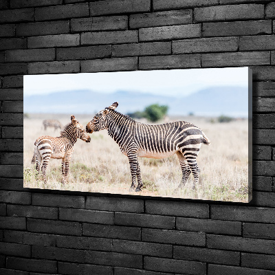 Quadro su tela Zebre in montagna