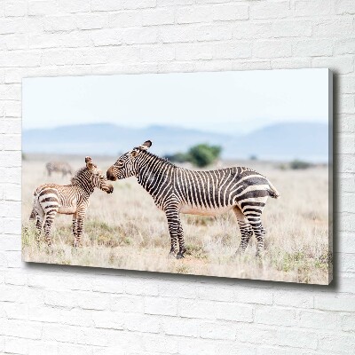 Quadro su tela Zebre in montagna