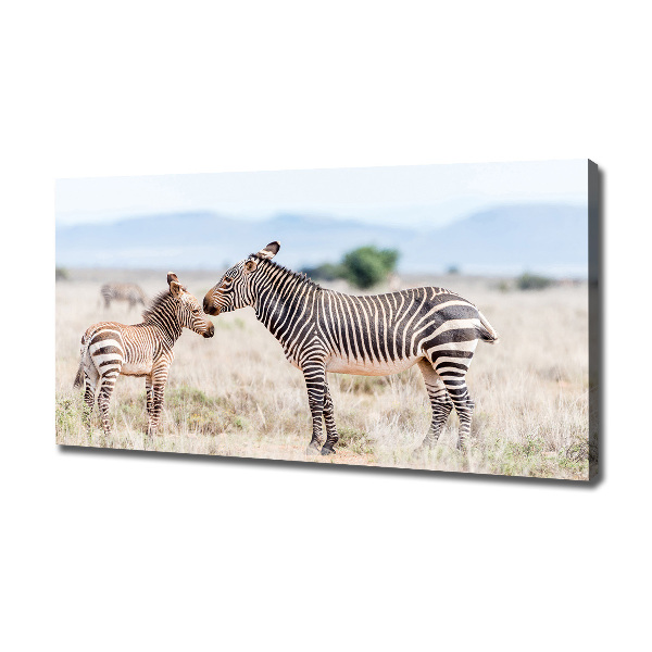 Quadro su tela Zebre in montagna