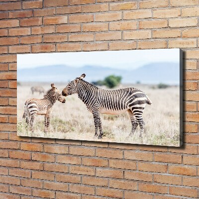 Quadro su tela Zebre in montagna
