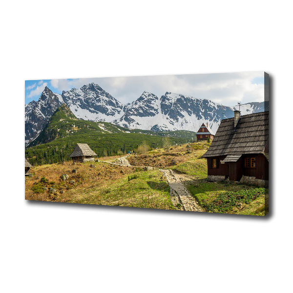 Foto quadro su tela Pascoli dei Monti Tatra