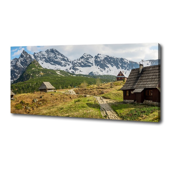 Foto quadro su tela Pascoli dei Monti Tatra