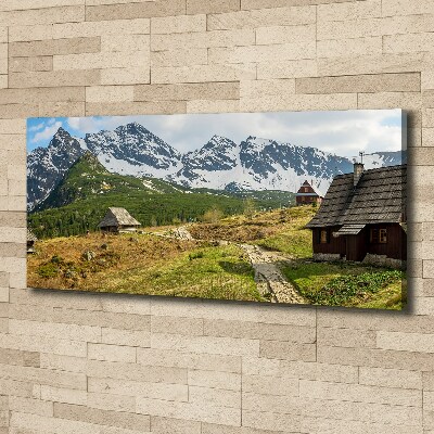 Foto quadro su tela Pascoli dei Monti Tatra