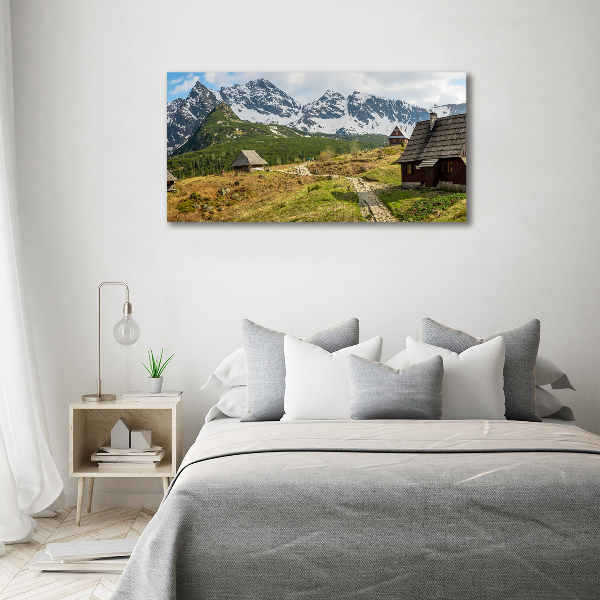 Foto quadro su tela Pascoli dei Monti Tatra