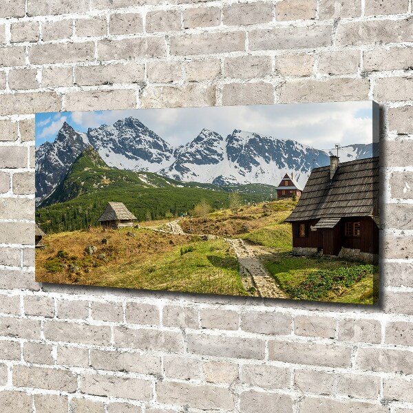 Foto quadro su tela Pascoli dei Monti Tatra
