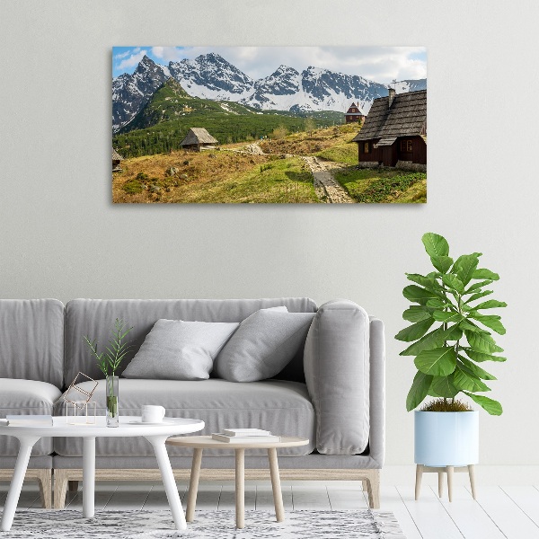 Foto quadro su tela Pascoli dei Monti Tatra