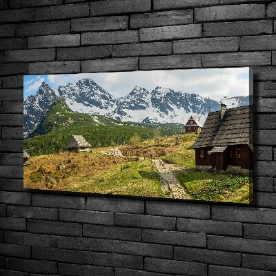 Foto quadro su tela Pascoli dei Monti Tatra