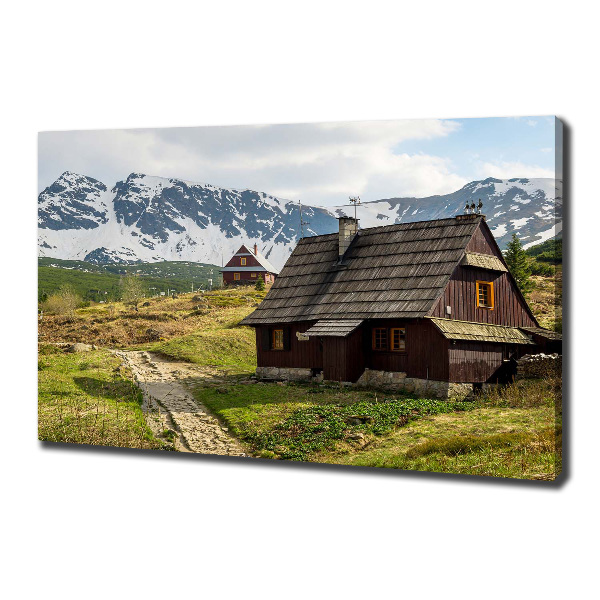 Foto quadro su tela Pascoli dei Monti Tatra