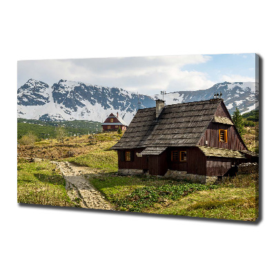 Foto quadro su tela Pascoli dei Monti Tatra