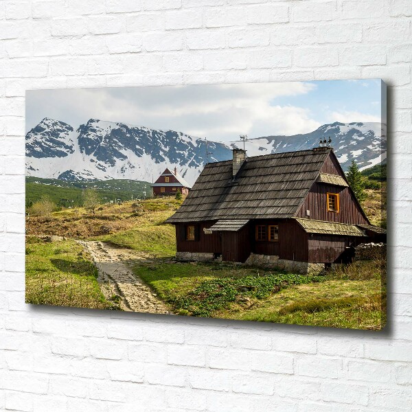 Foto quadro su tela Pascoli dei Monti Tatra