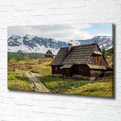 Foto quadro su tela Pascoli dei Monti Tatra