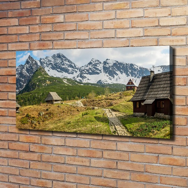 Foto quadro su tela Pascoli dei Monti Tatra