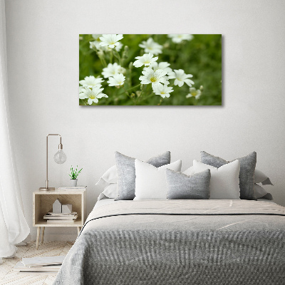 Quadro su tela Fiori primaverili