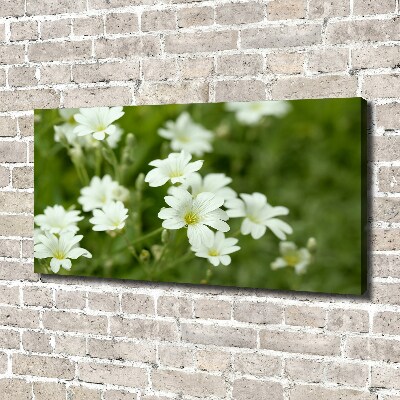 Quadro su tela Fiori primaverili