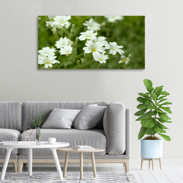 Quadro su tela Fiori primaverili