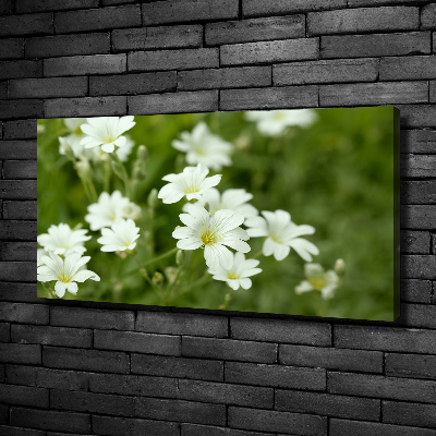Quadro su tela Fiori primaverili
