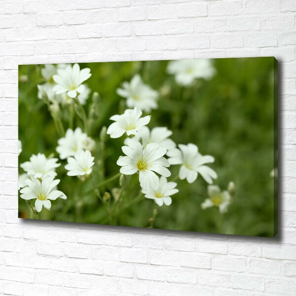 Quadro su tela Fiori primaverili