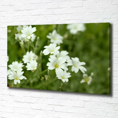 Quadro su tela Fiori primaverili