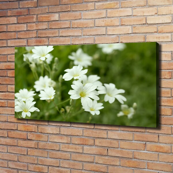 Quadro su tela Fiori primaverili