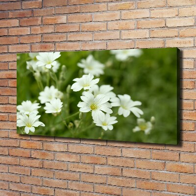Quadro su tela Fiori primaverili