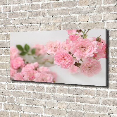 Foto quadro su tela Rose selvatiche