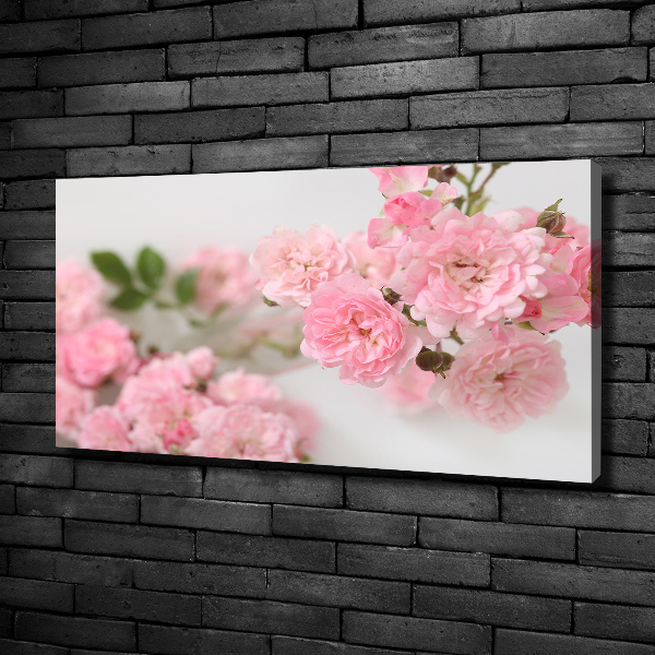 Foto quadro su tela Rose selvatiche