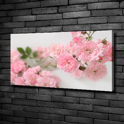 Foto quadro su tela Rose selvatiche