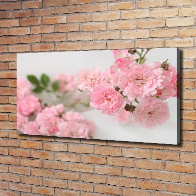 Foto quadro su tela Rose selvatiche